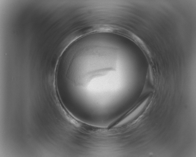 X0000069811194200605221156