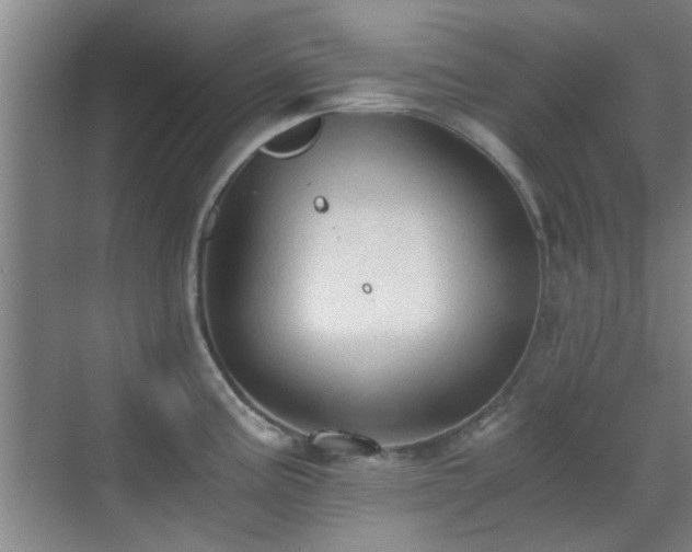 X0000069811195200605221156