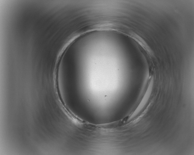 X0000069811196200605221156