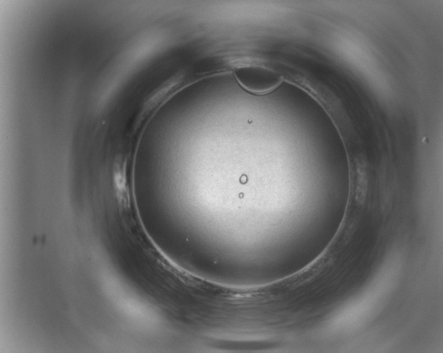 X0000069811198200605221156