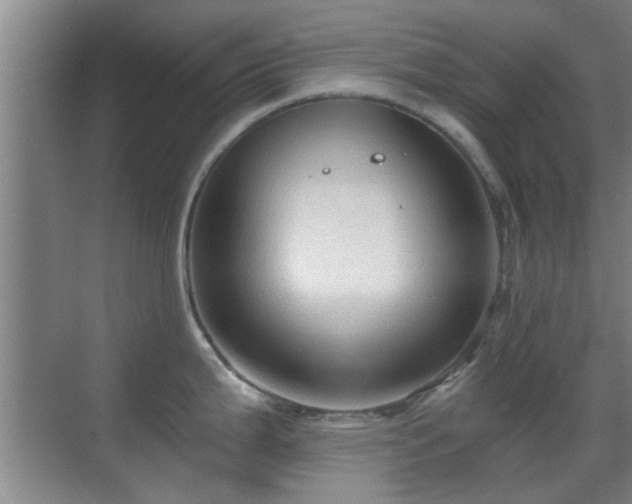 X0000069811199200605221156