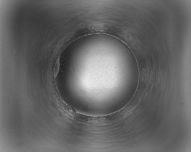 X0000069811201200605221155