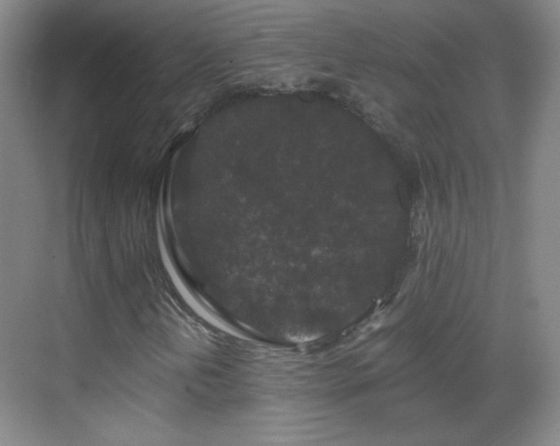 X0000069811202200605221155