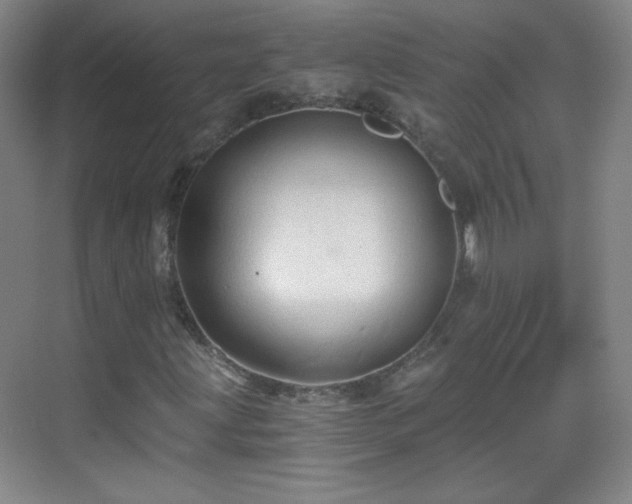 X0000069811203200605221155