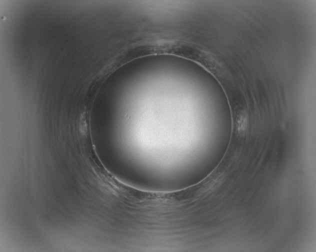 X0000069811204200605221155