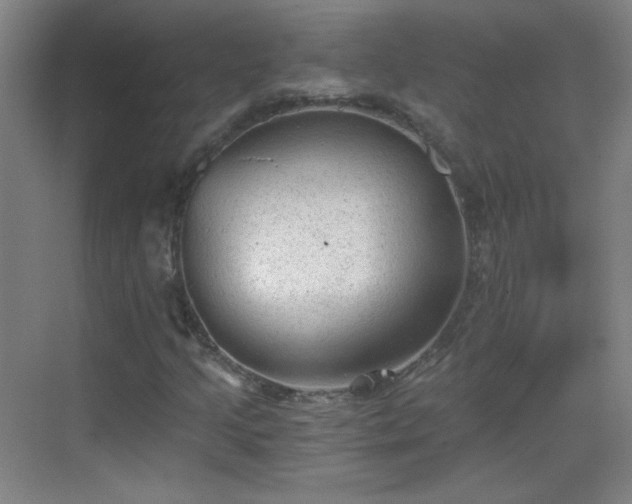 X0000069811205200605221155