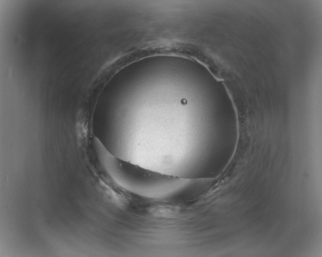 X0000069811206200605221155