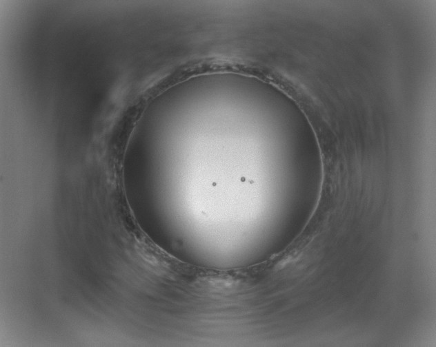 X0000069811207200605221155