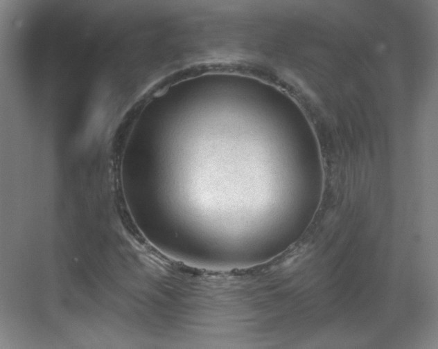 X0000069811208200605221155