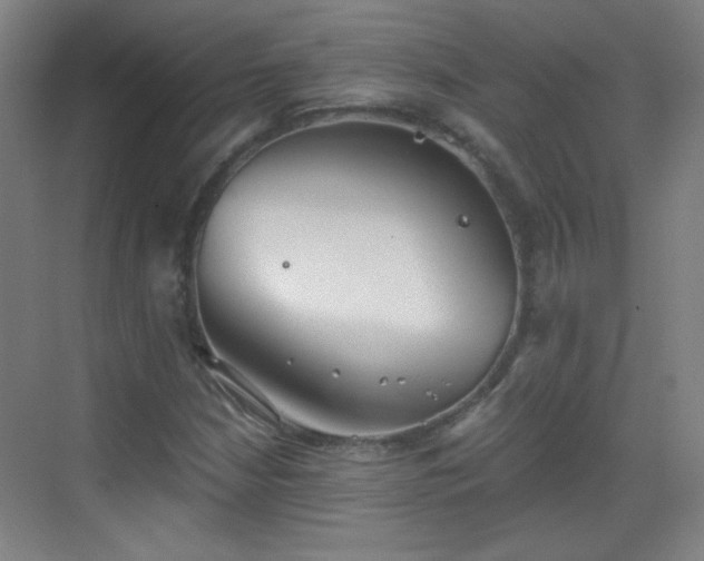 X0000069811210200605221155