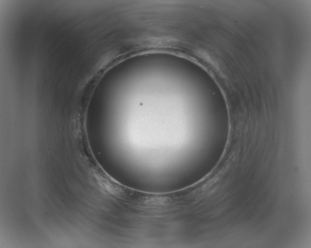 X0000069811211200605221155