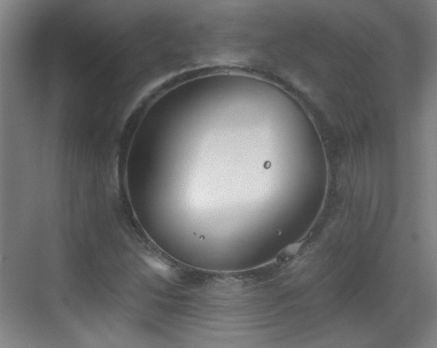 X0000069811214200605221155