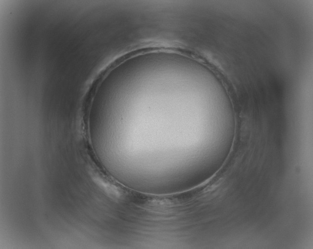 X0000069811215200605221155