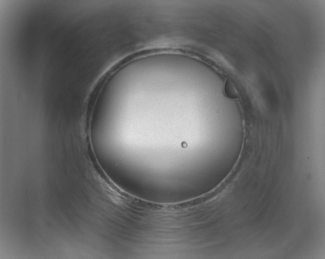 X0000069811216200605221155