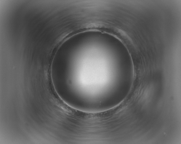 X0000069811217200605221155