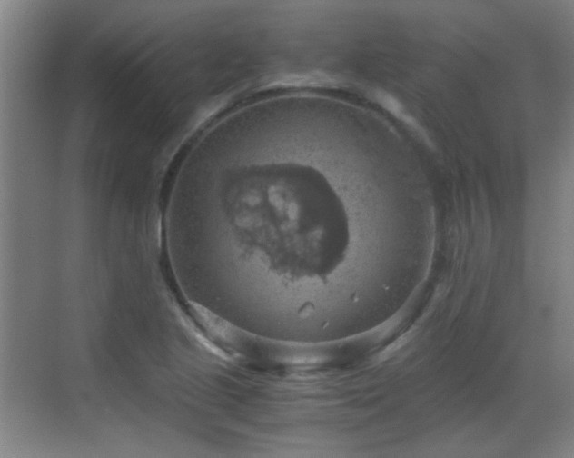 X0000069811221200605221155