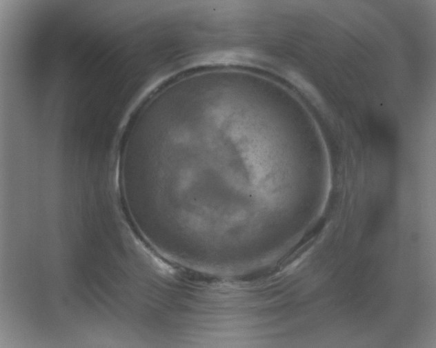 X0000069811224200605221155