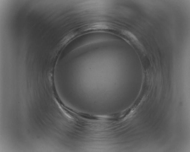 X0000069811225200605221155