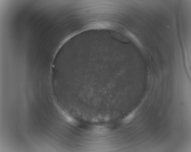 X0000069811226200605221155