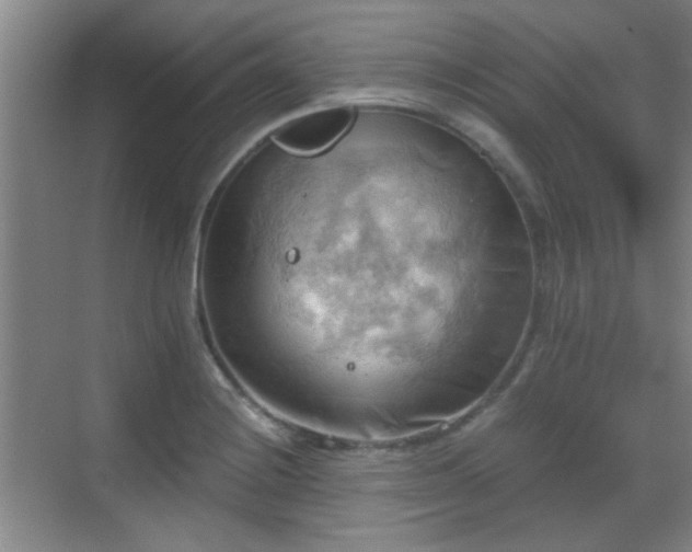 X0000069811228200605221156