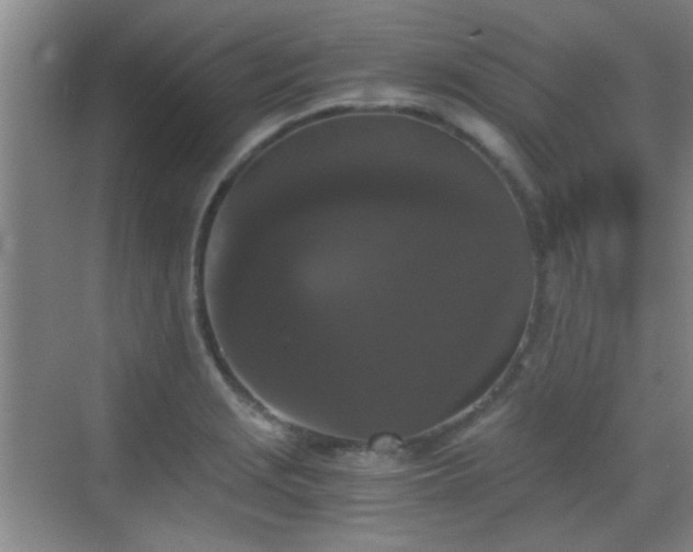 X0000069811229200605221156