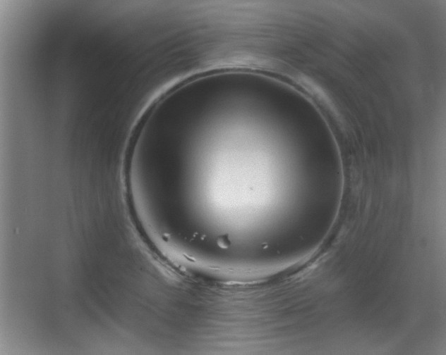 X0000069811230200605221156