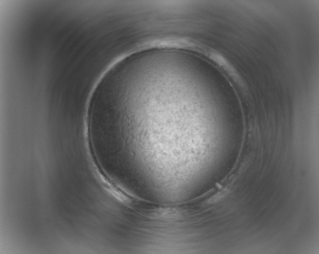 X0000069811232200605221156