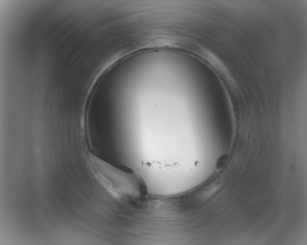 X0000069811234200605221156