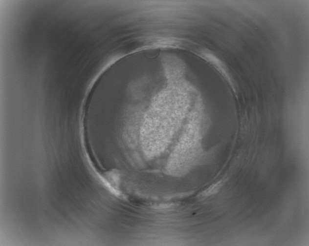 X0000069811235200605221156