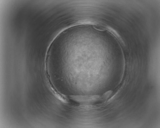 X0000069811236200605221156