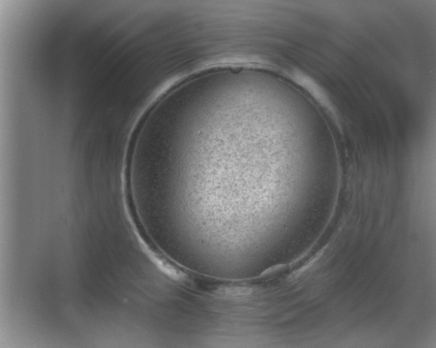 X0000069811237200605221156