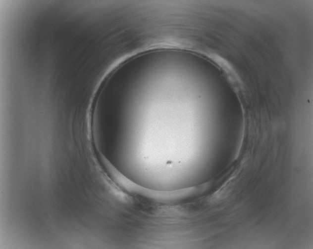 X0000069811238200605221156