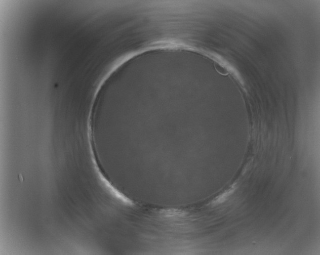 X0000069811239200605221156