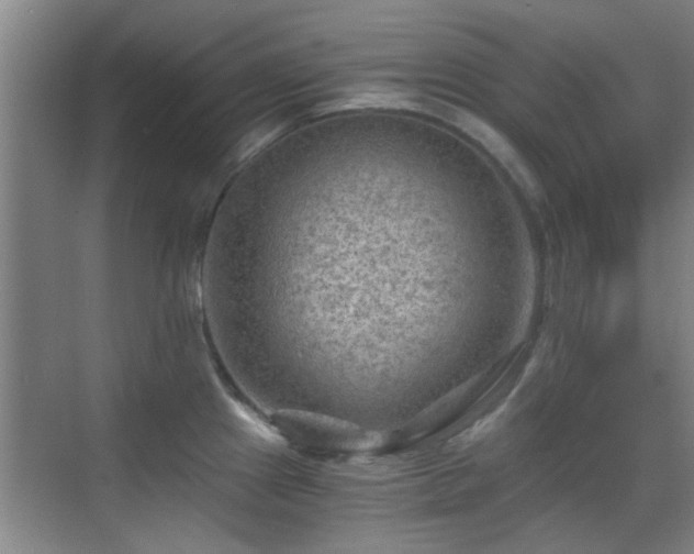 X0000069811241200605221156