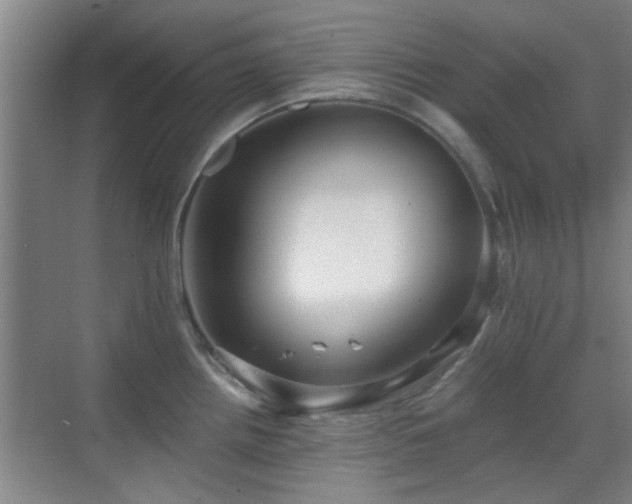 X0000069811242200605221156