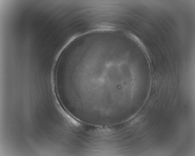 X0000069811243200605221156