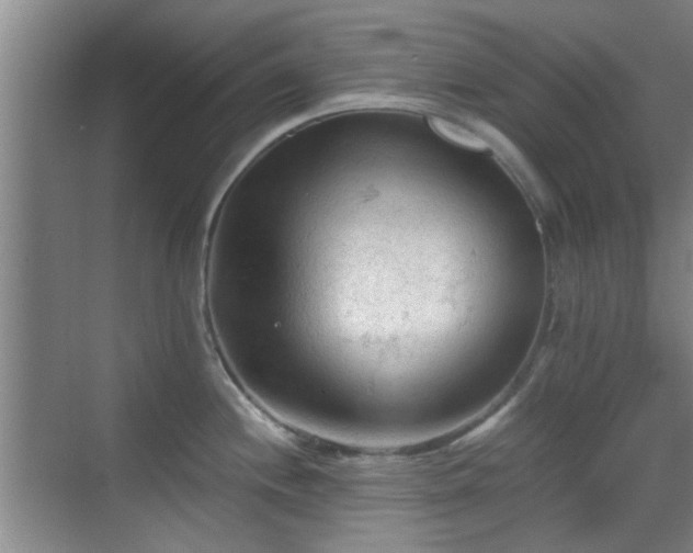 X0000069811244200605221156