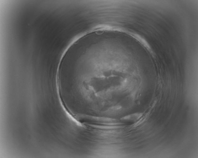 X0000069811247200605221156