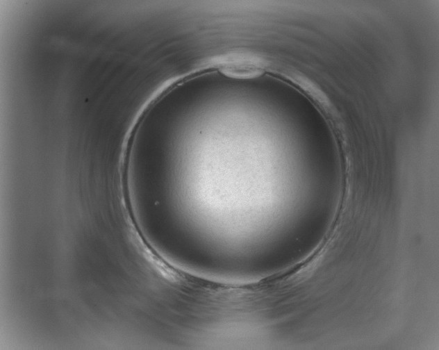 X0000069811248200605221156