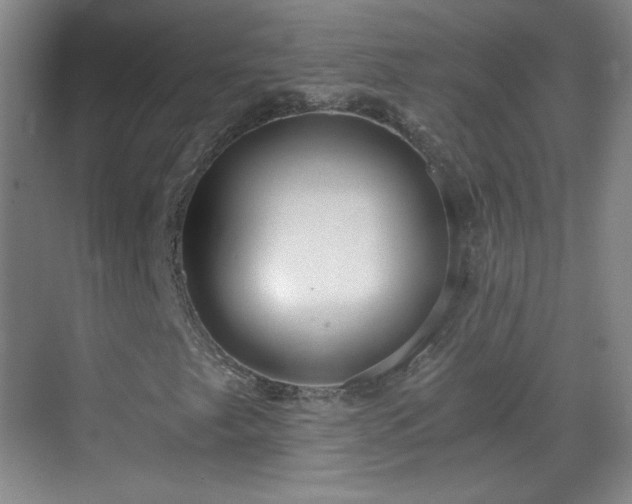 X0000069811249200605221155