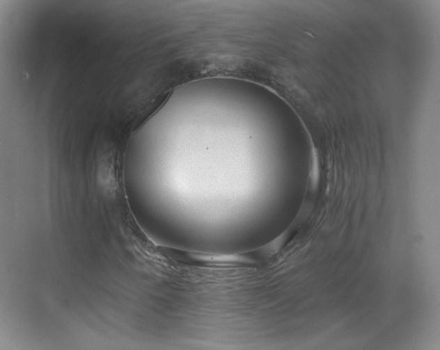 X0000069811250200605221155