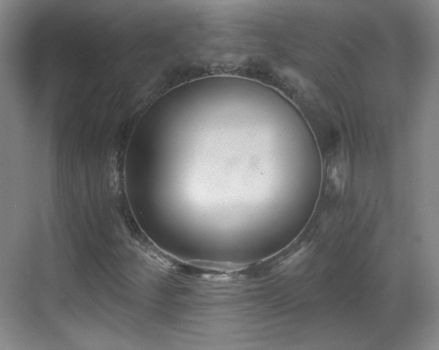 X0000069811252200605221155