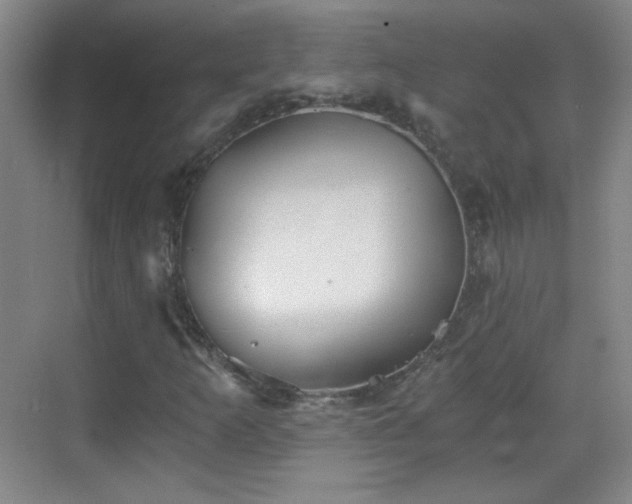 X0000069811253200605221155