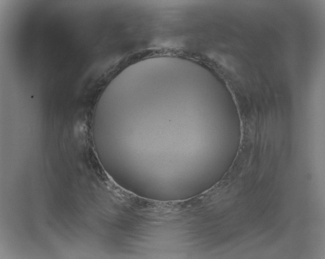 X0000069811254200605221155