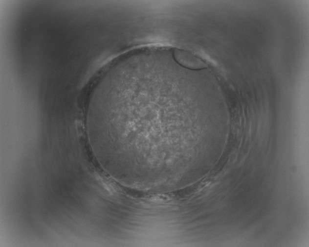 X0000069811255200605221155