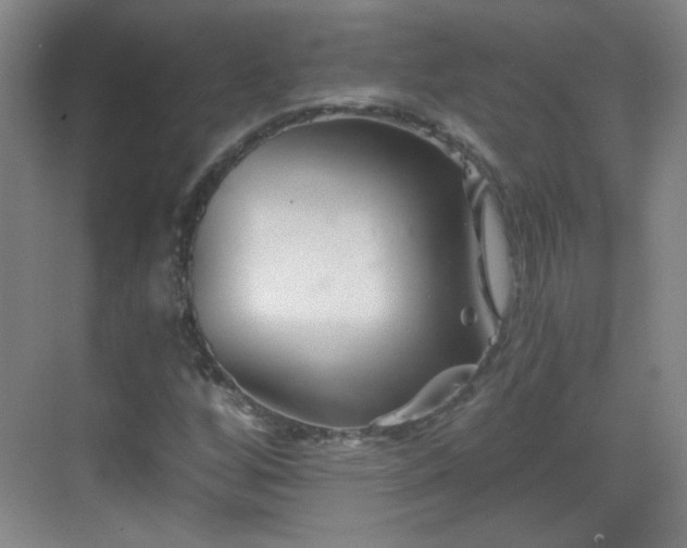 X0000069811256200605221155