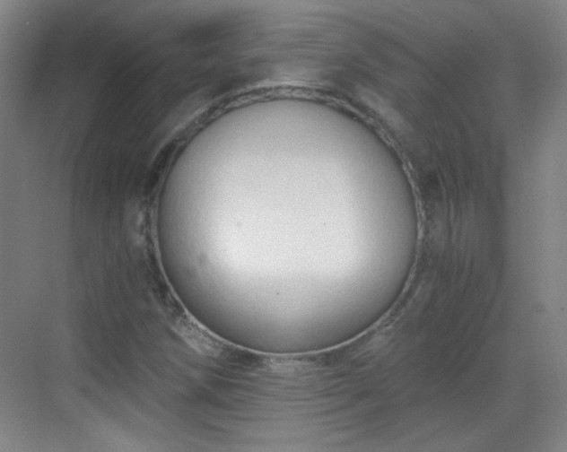 X0000069811258200605221155