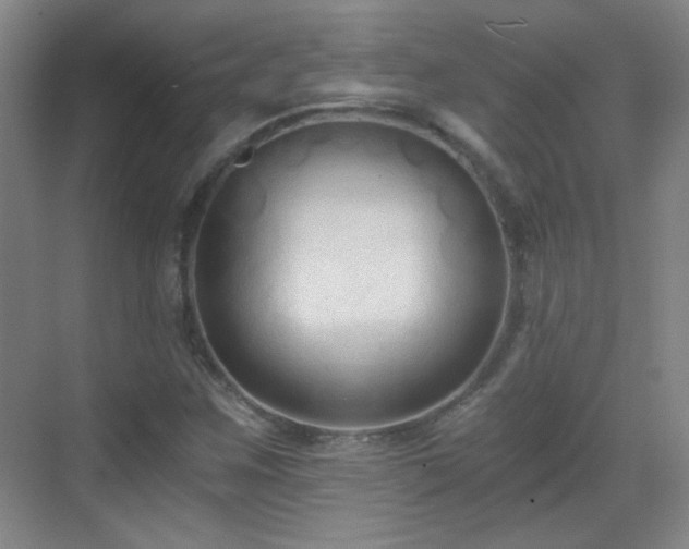 X0000069811259200605221155