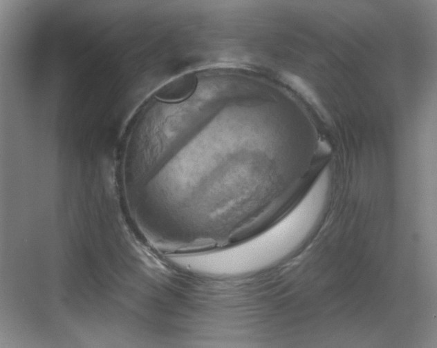 X0000069811260200605221155