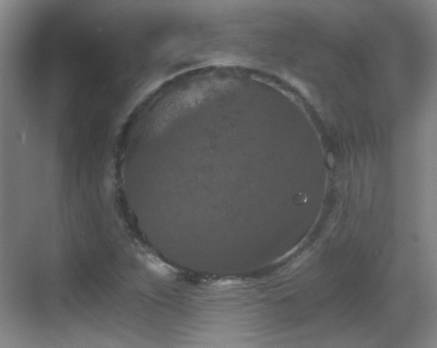 X0000069811263200605221155